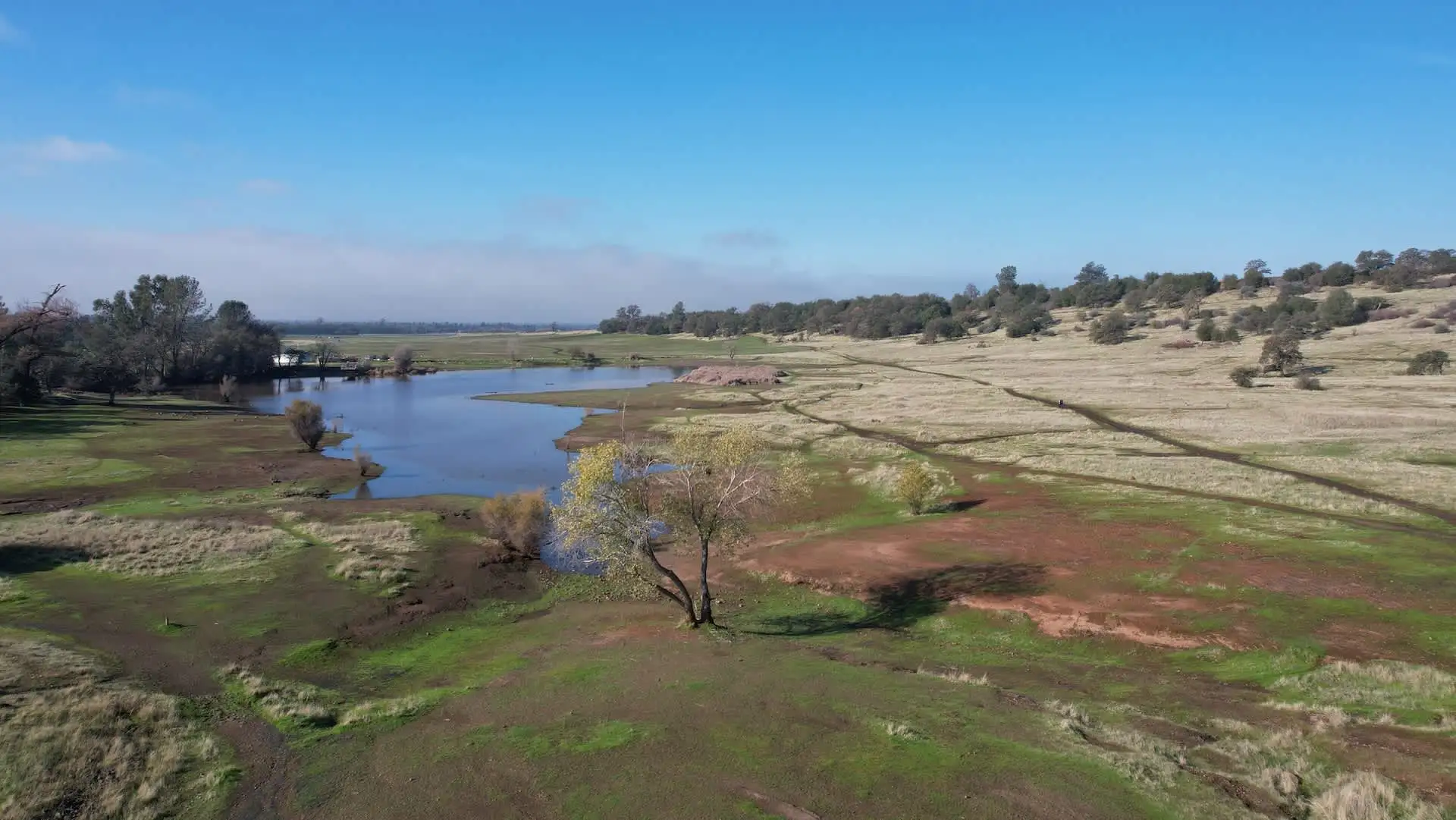 Sacramento Valley farmland viewed from above
